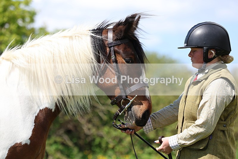 3E7A0378 - Class 19: Best Coloured in Hand