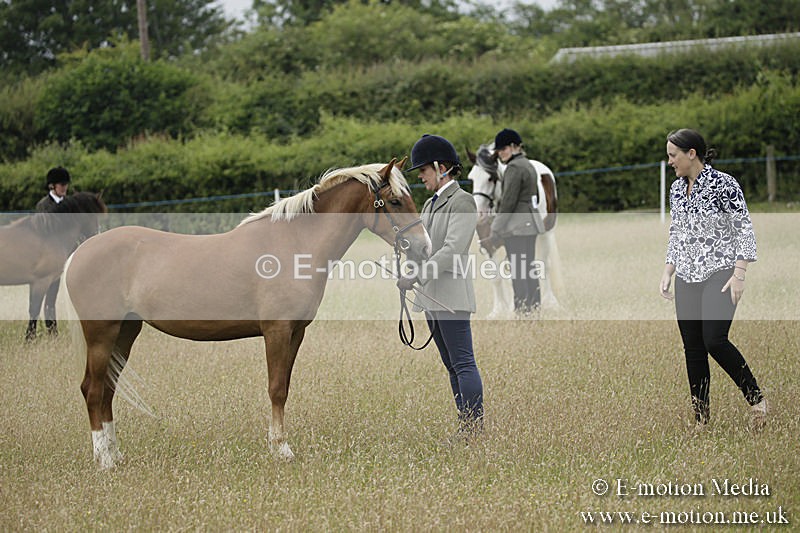 B230619-0055 - Bourne Valley Riding Club Summer Show 23/06/19