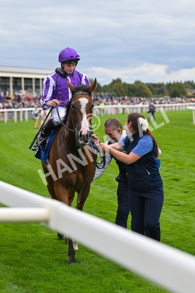 210825-Race 4-Minnie Hauk-4856 - Race 4 3.35pm Pertemps Network Yorkshire Oaks