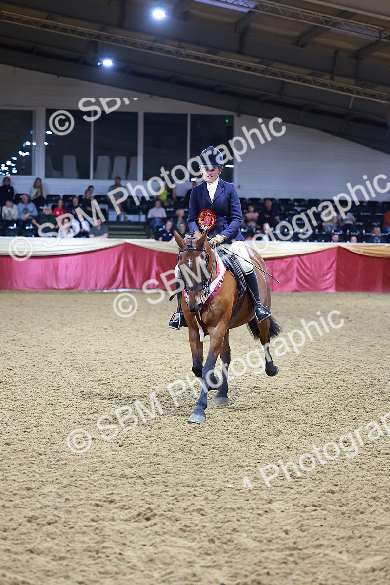 SBM_15007 - Class M - Equitation Champ