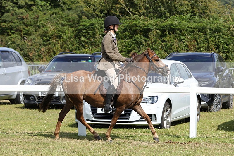 1X9A5663 - Class 40: NPS Welsh A & B
