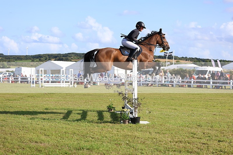 3E7A4301 - Class C: Showjumping Senior Foxhunter