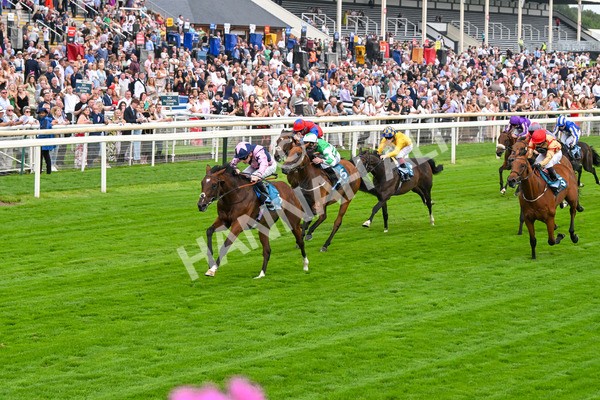 250725-Race 3-Amakhala Warrior-5726 - Race 3 6.38pm Ire-Incentive, It Pays To Buy Irish EBF Restricted Novice Stakes