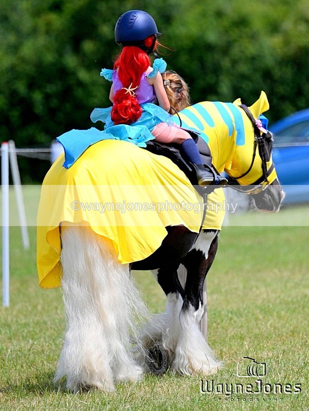 WJ7_7885 - Nancy And Churchill SORC summer show 21-06-26