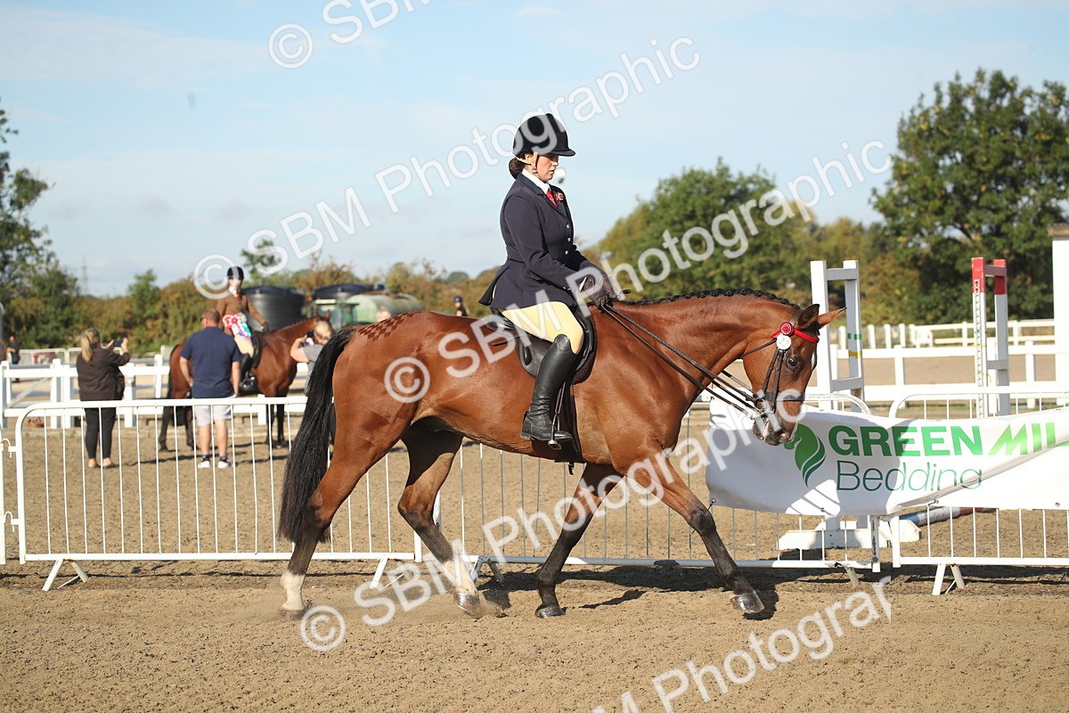 SBM_11269 - Class 501 -Riding Club Pony
