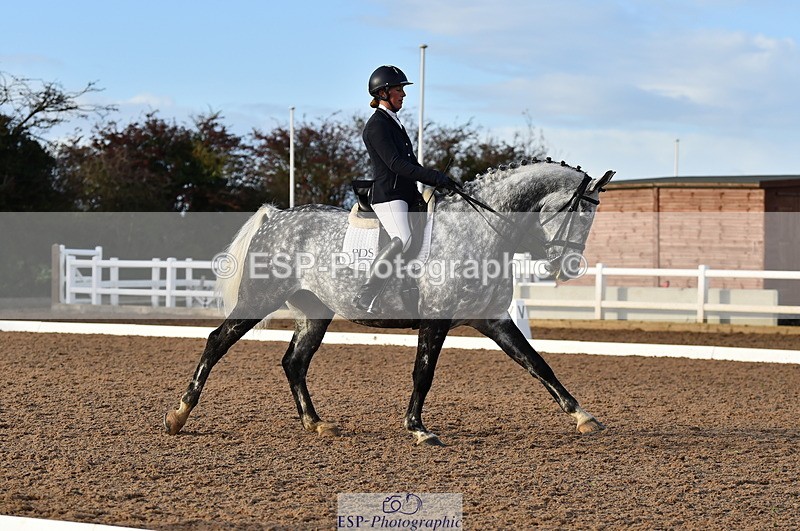 231104A-145640-02223 - Cls 13 Adv Medium 91