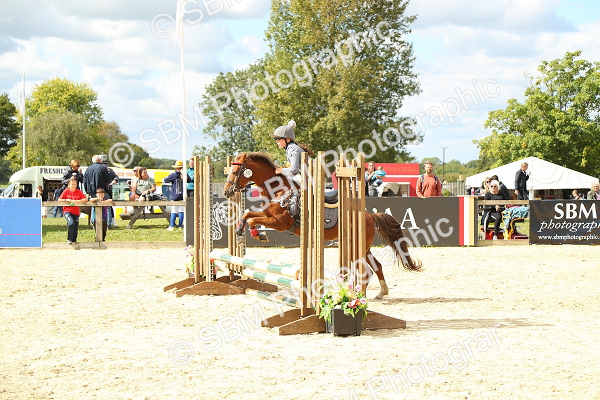 SBM_41336 - J6 - Junior Pony 55cm Championships