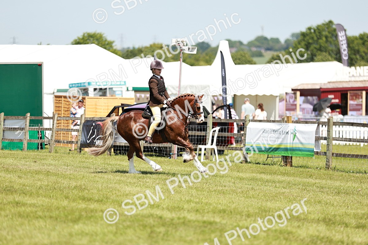 SBM_15516 - Class 108-109 - BSPS LIHS Open Gradle & Nursery Stakes