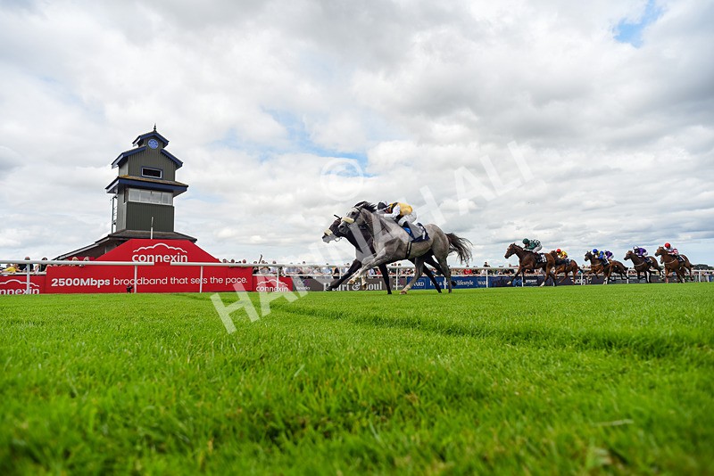 050725-Race 2-Mo Of Cairo-4973 - Race 2