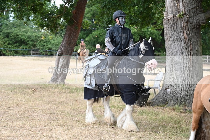WJ6_8902 - Class 11 Fancy Dress