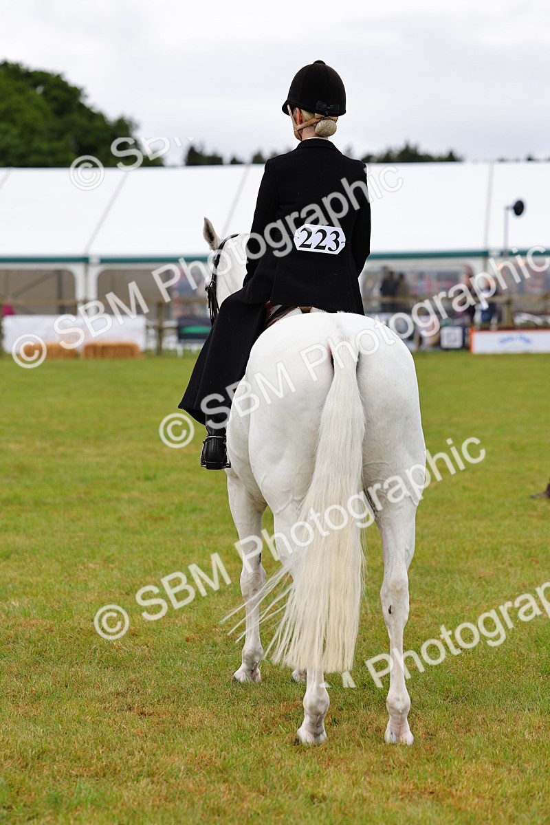 SBM_02771 - Class 9-11 Side Saddle including LIHS Rising Star Ladies Show Horse