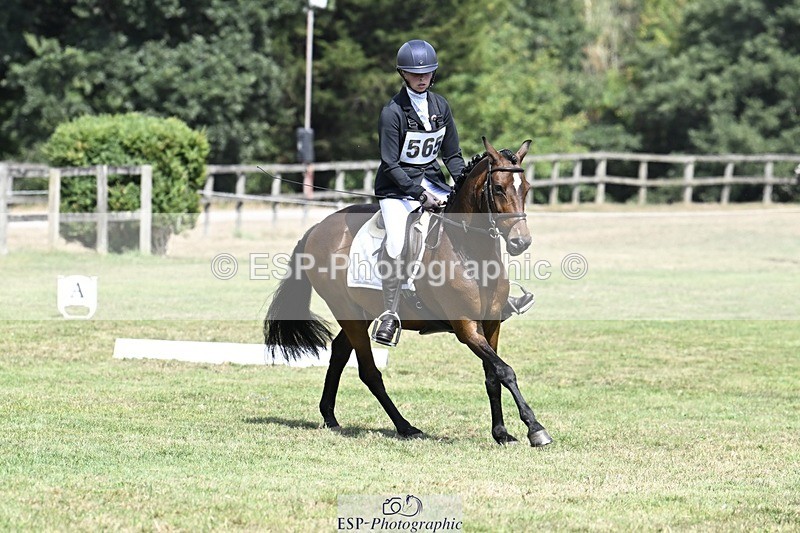 250822A-120821-22591 - DR 11.00 to 12.00