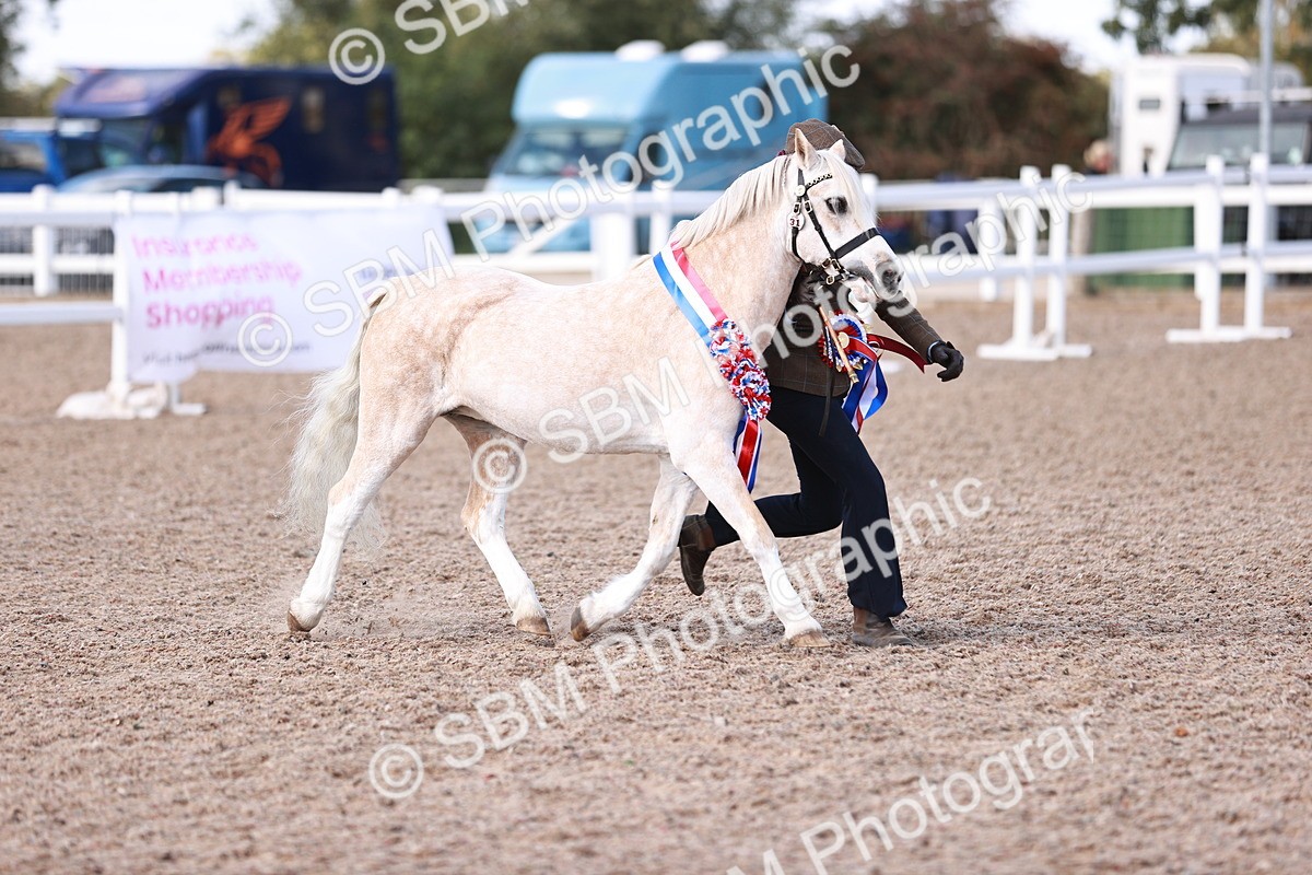 SBM_22926 - Class 706 - IH Veteran