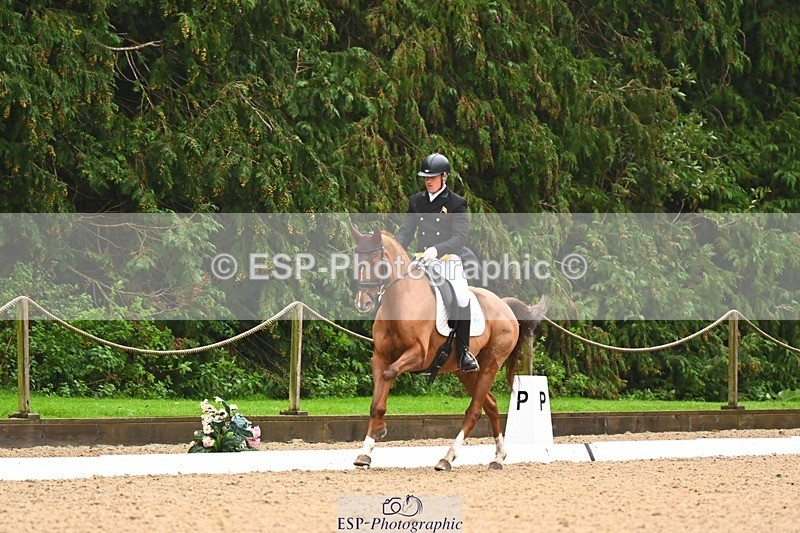 231021-104331-14512 - 231-ROUGE.ANGEL-Fred.Scala-DR