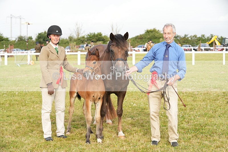 DSC04471 - Classes 44 & 45: NPS M&M Brood Mare and Foal