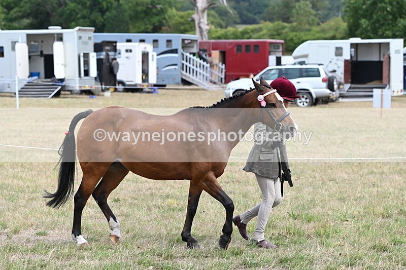 WJ6_5901 - Class 19 In-hand Veterans (Uploaded correct folder)
