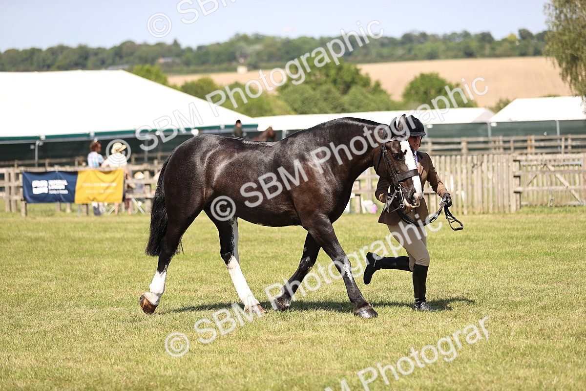 SBM_17927 - Class 81-83 - TSR Ridden Amateur of the Year - Horses