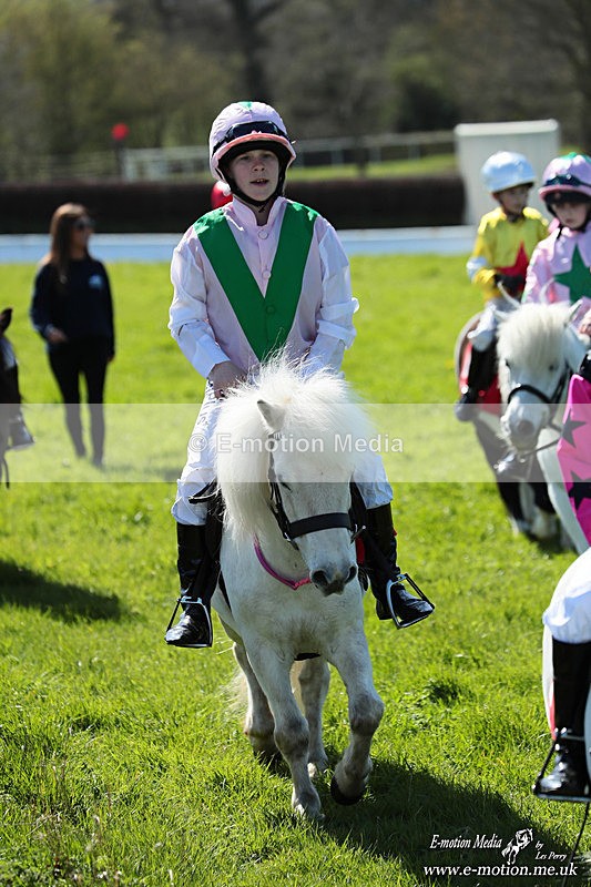 Shet 060426 218 - Shetland Pony Racing Paxford Races Easter Mon 06/04/26