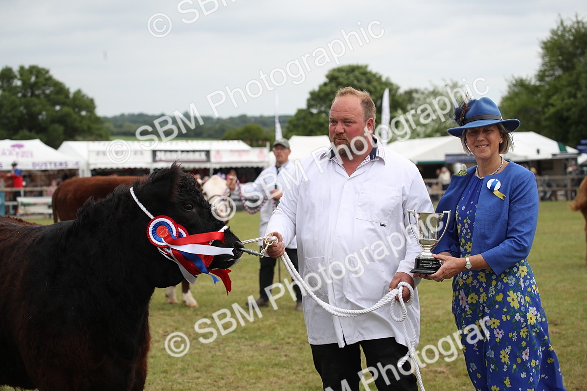 SBM_07908 - Grand Parade