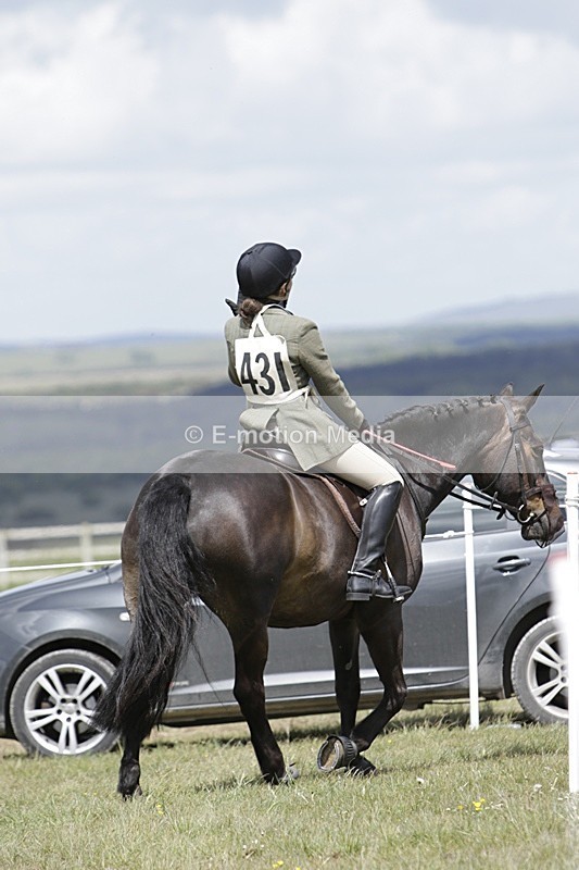 BVHT 140517 N-250 - Class 2 SJ Novice 14/05/17
