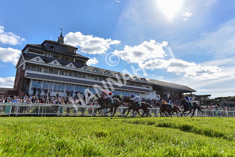 160924-Race 2-Magic Love-6494 - Race 2