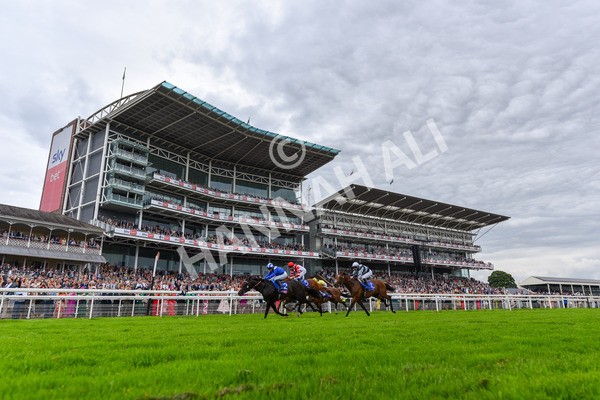 270724-Race 1-Alflaila-1303 - Race 3 3.15pm Sky Bet York Stakes