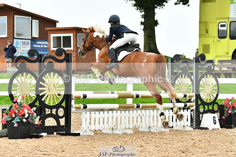 230730A-095710-08395 - Cls 31 British Novice & 90cm Open