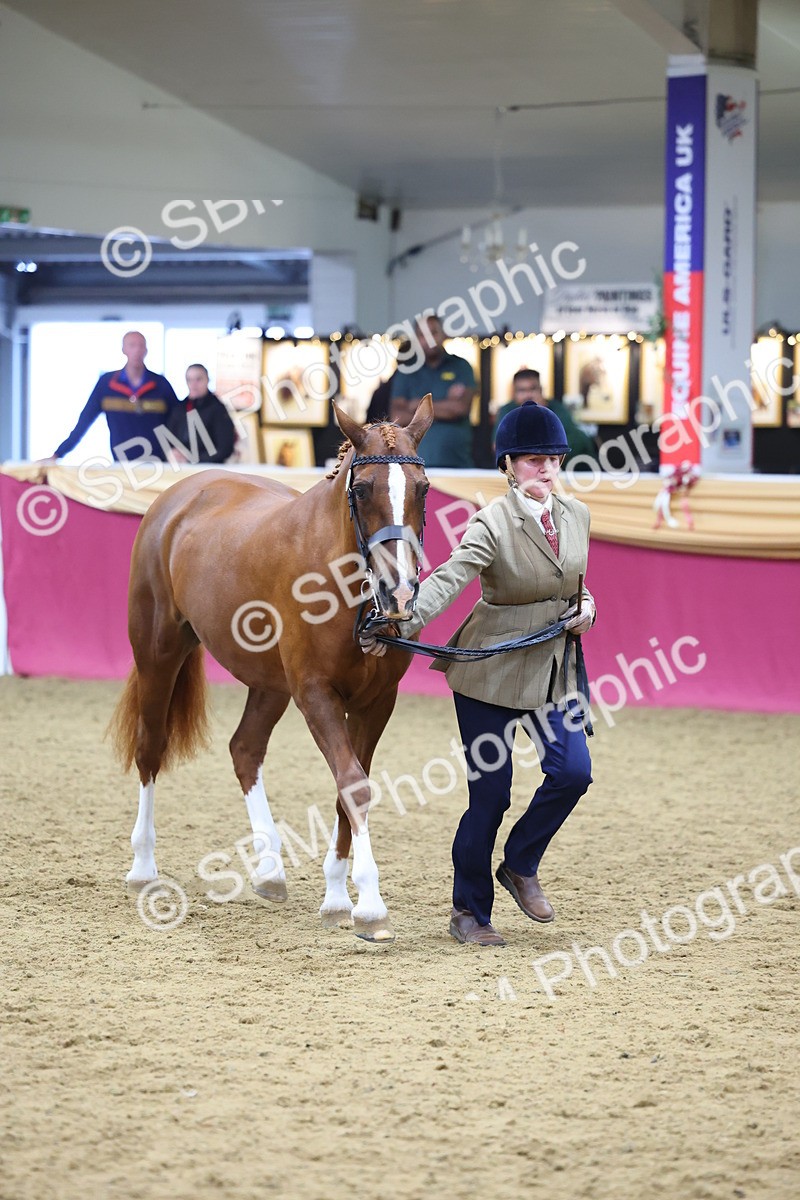 SBM_19443 - Class 901 - Supreme Final - IH Diamond