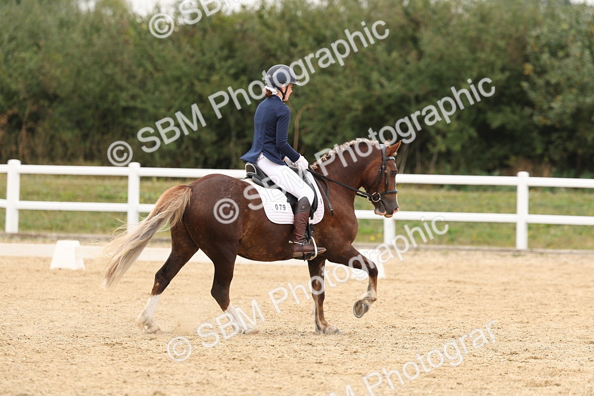 SBM_01039 - Class 8 - Novice 27 Champs