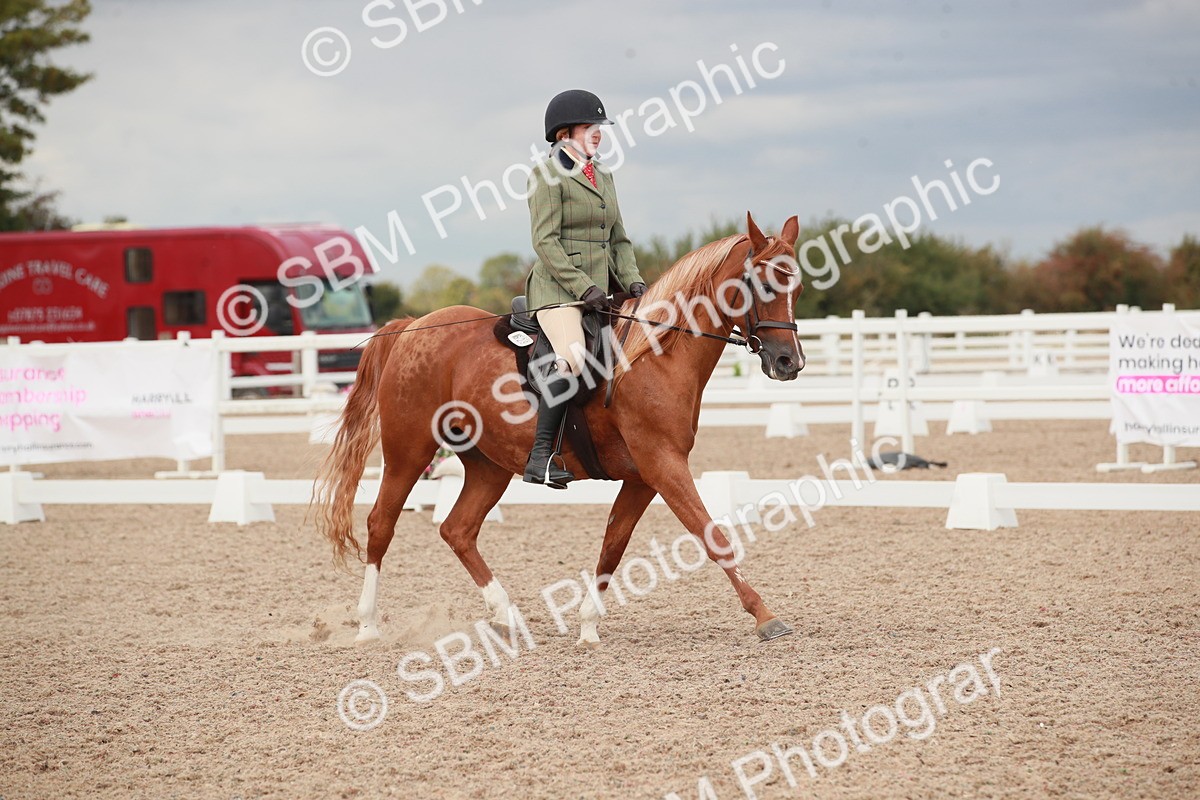 SBM_06009 - Class 32 - Novice 1