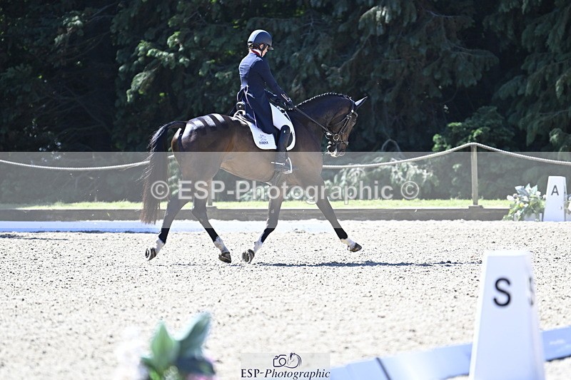 250522A-101141-02629 - B-310-Kitty.King-LISCARROW.FERNHILL