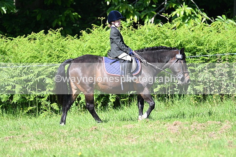WJ7_0685 - Class 8 First Rally Pony
