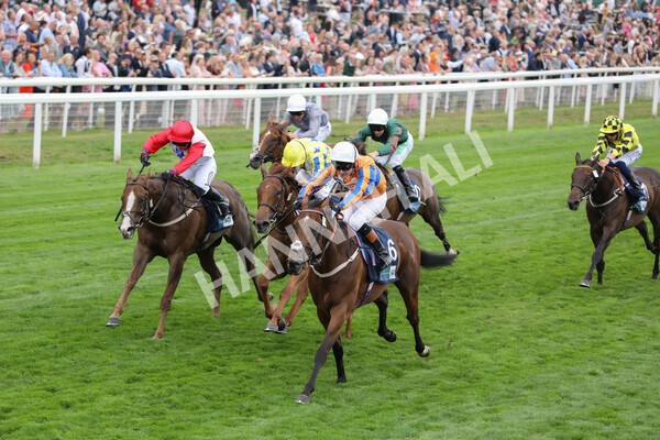 yr18082022r7-22 - Race 7 5.20pm British Stallion Studs EBF Fillies' Stakes