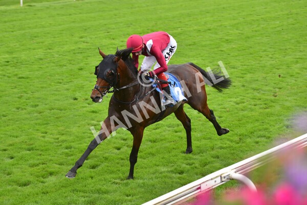 yr24092021r5-29 - Race 5 3.50pm William Hill Leading On Course Bookmaker Stakes