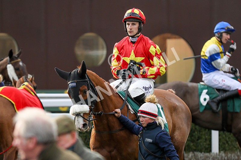 020224-Race 4-Treaty Boy-6844 - Race 4