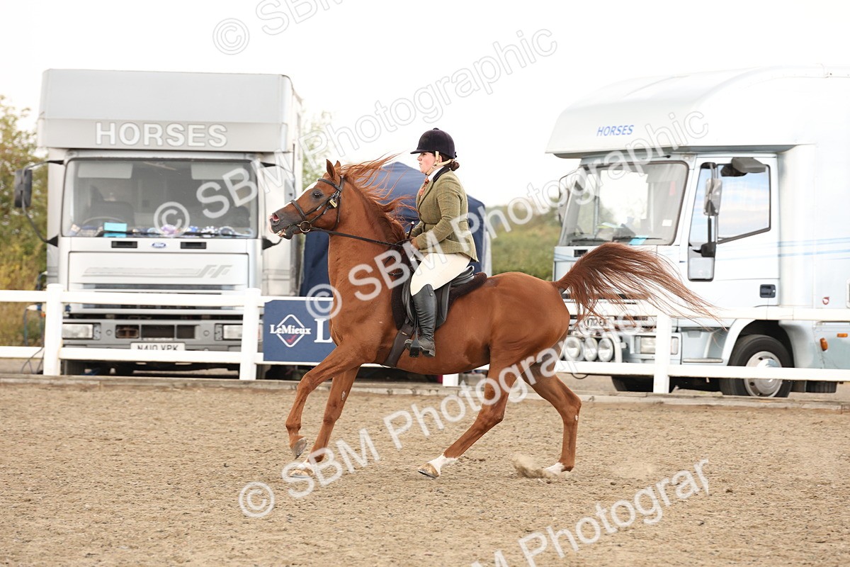 SBM_07591 - Class 59b -  Style & Performance - 80cm (20+)