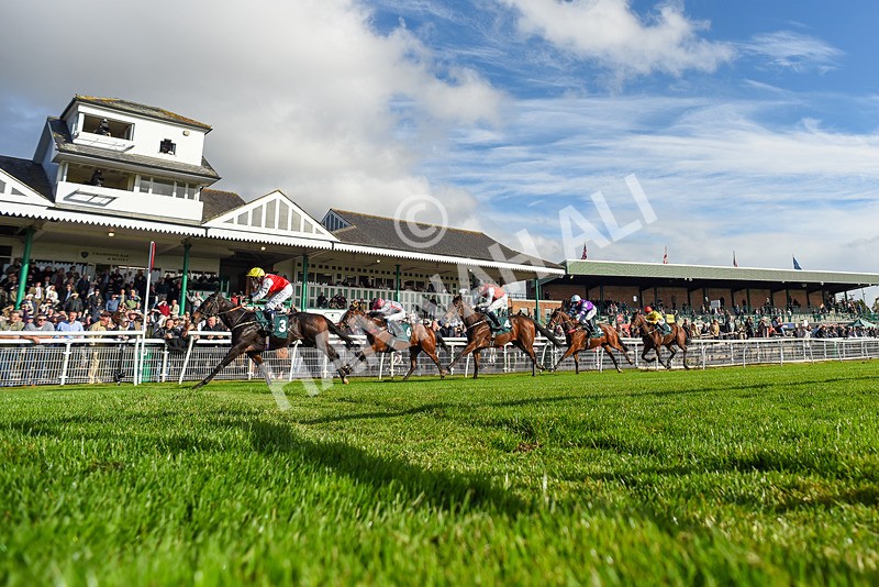 191024-Race 1-Obligatory-2075 - Race 1