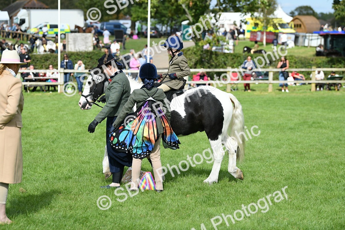 SBM_47007 - S12 - Family Horse & Pony