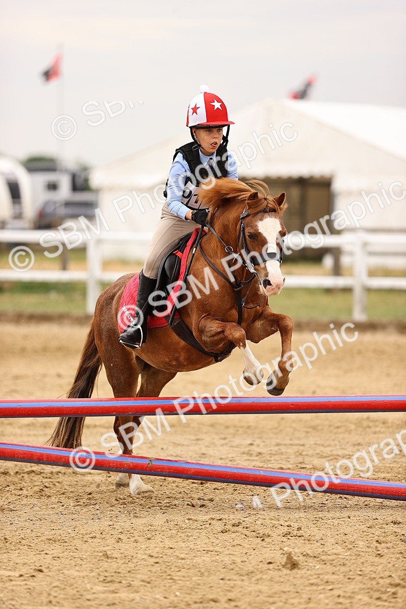 SBM_002179 - Class 3 - 60cm