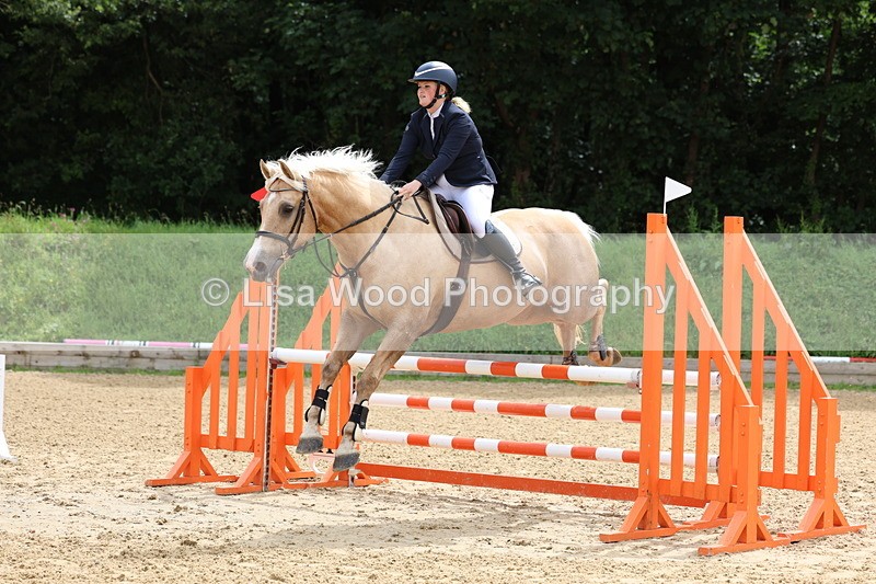 3E7A6021 - Class 4: Senior British Novice/90cm open