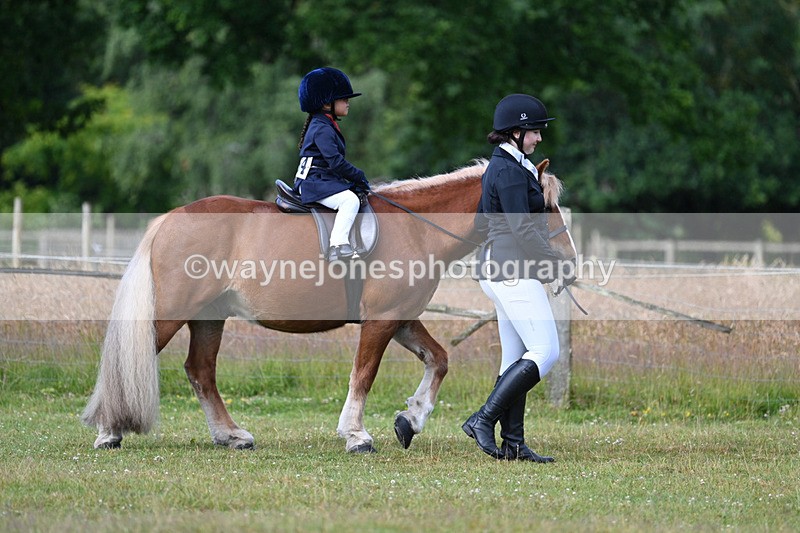 WJ7_4454 - Class 1 Lead Rein Pony