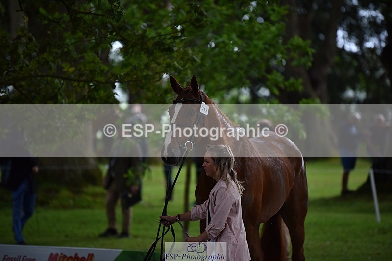 240522-151136-00152 - 312-DALOUBET_MANSOLEIN_Z-Kat_Raybould