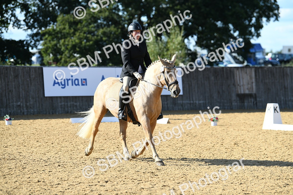 SBM_27239 - D16 - Small Tour Championship - Novice 28