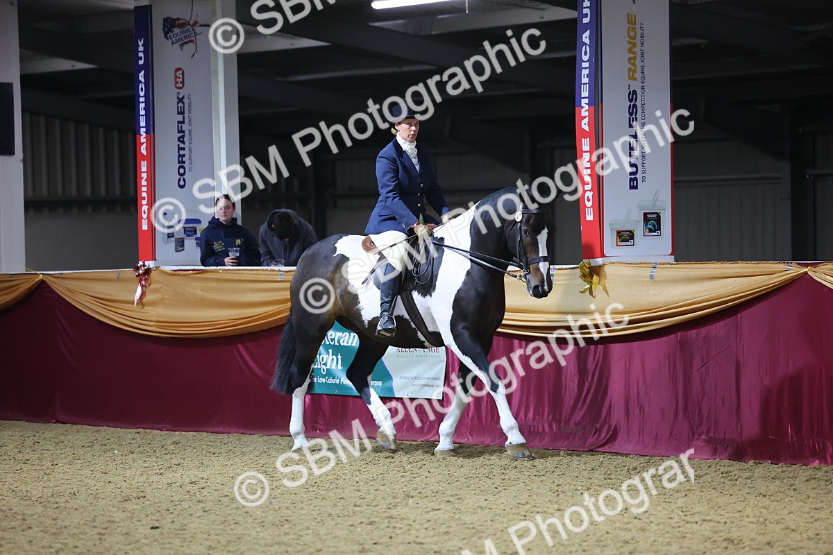 0B8A4454 - Class O Ridden Show Horse Champ