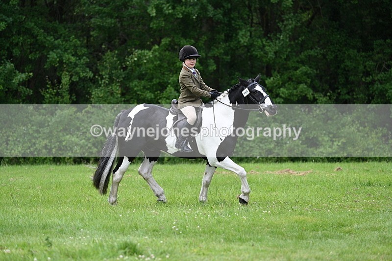 WJ7_2386 - Class 12A Coloured Class