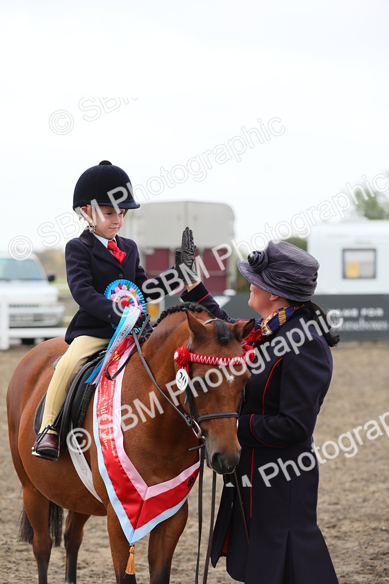 SBM_21871 - Class 806 - Young ridder 10 Yr & Under