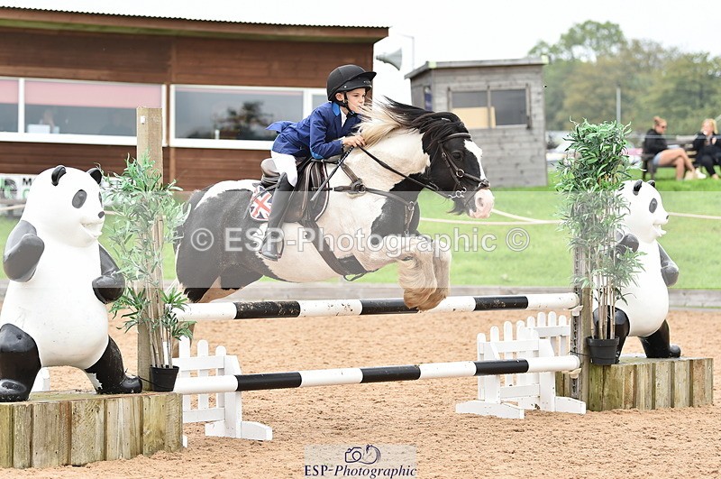 230902A-114628-00833 - Cls 2B Pony Small 80cm