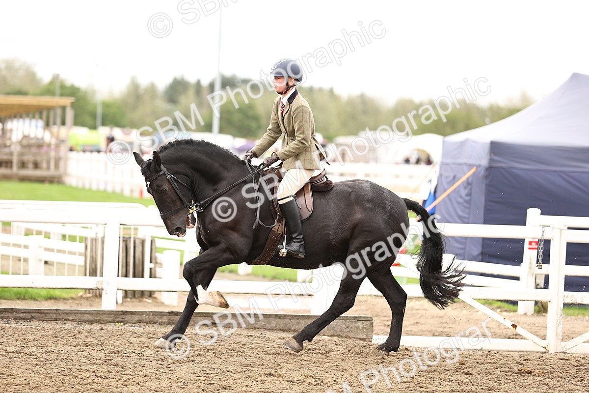 SBM_01377 - Class 54 - Riding Club Horse Pony