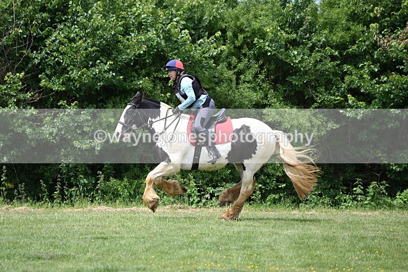 WJ6_3505 - Class 4 60cm