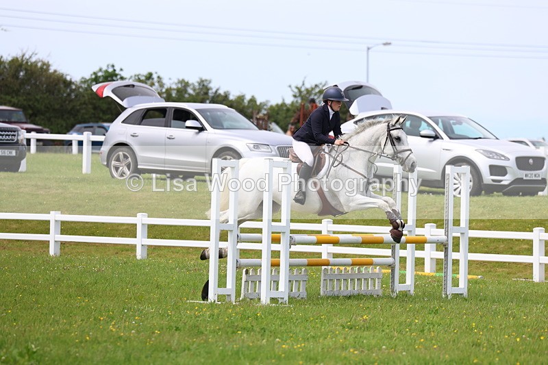 3E7A1535 - Class 13: Senior British Novice/90cm open
